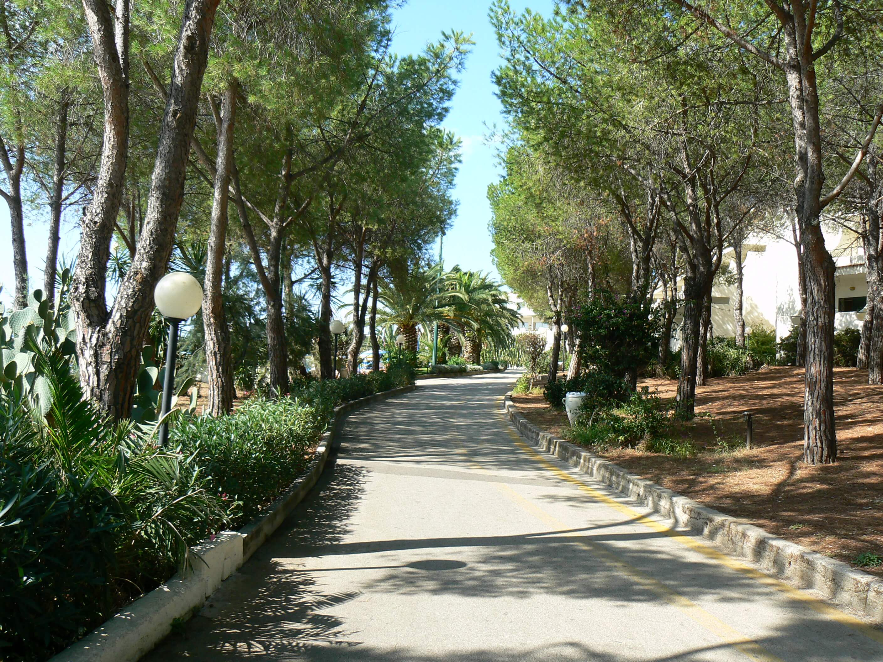 allee